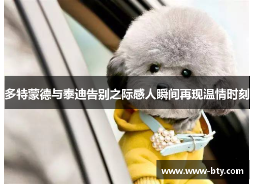 多特蒙德与泰迪告别之际感人瞬间再现温情时刻