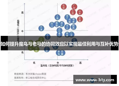 如何提升魔鸟与老马的协同效应以实现最佳利用与互补优势