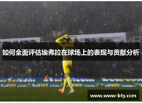 如何全面评估埃弗拉在球场上的表现与贡献分析
