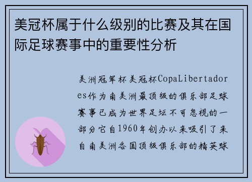 美冠杯属于什么级别的比赛及其在国际足球赛事中的重要性分析 美冠杯属于什么级别的比赛及其在国际足球赛事中的重要性分析